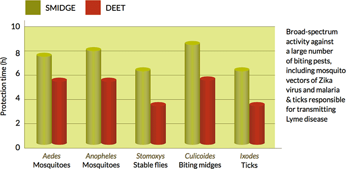 smidge-v-deet