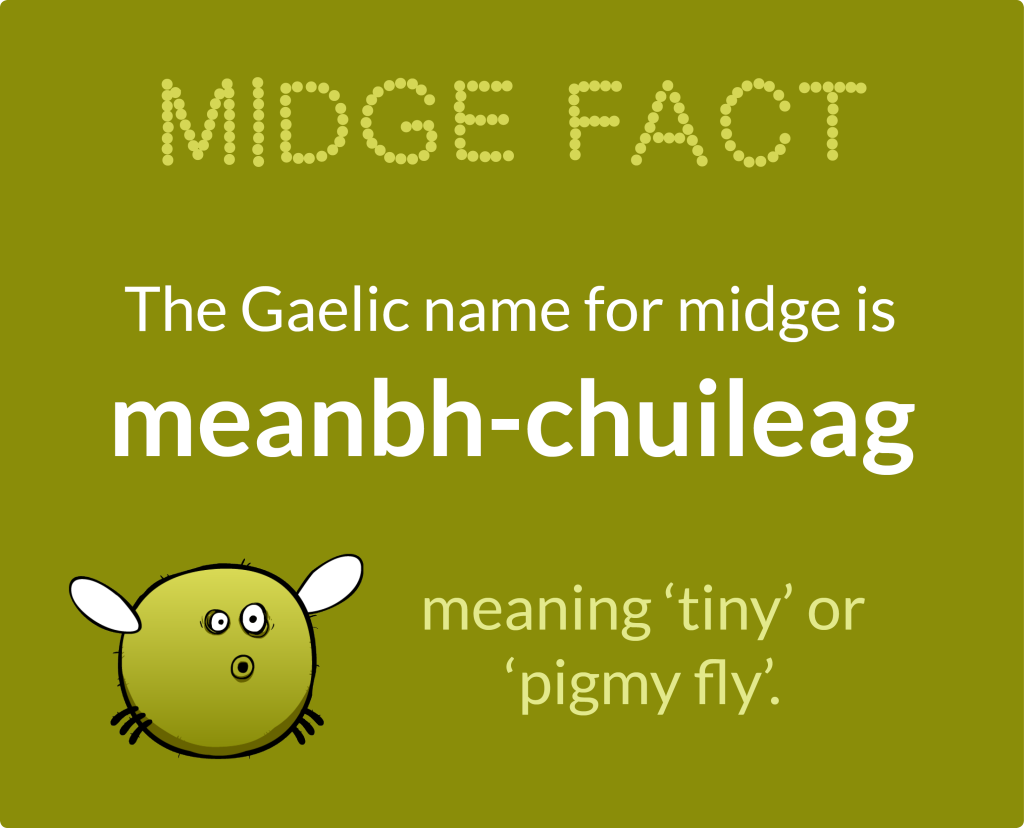 Midge fact
